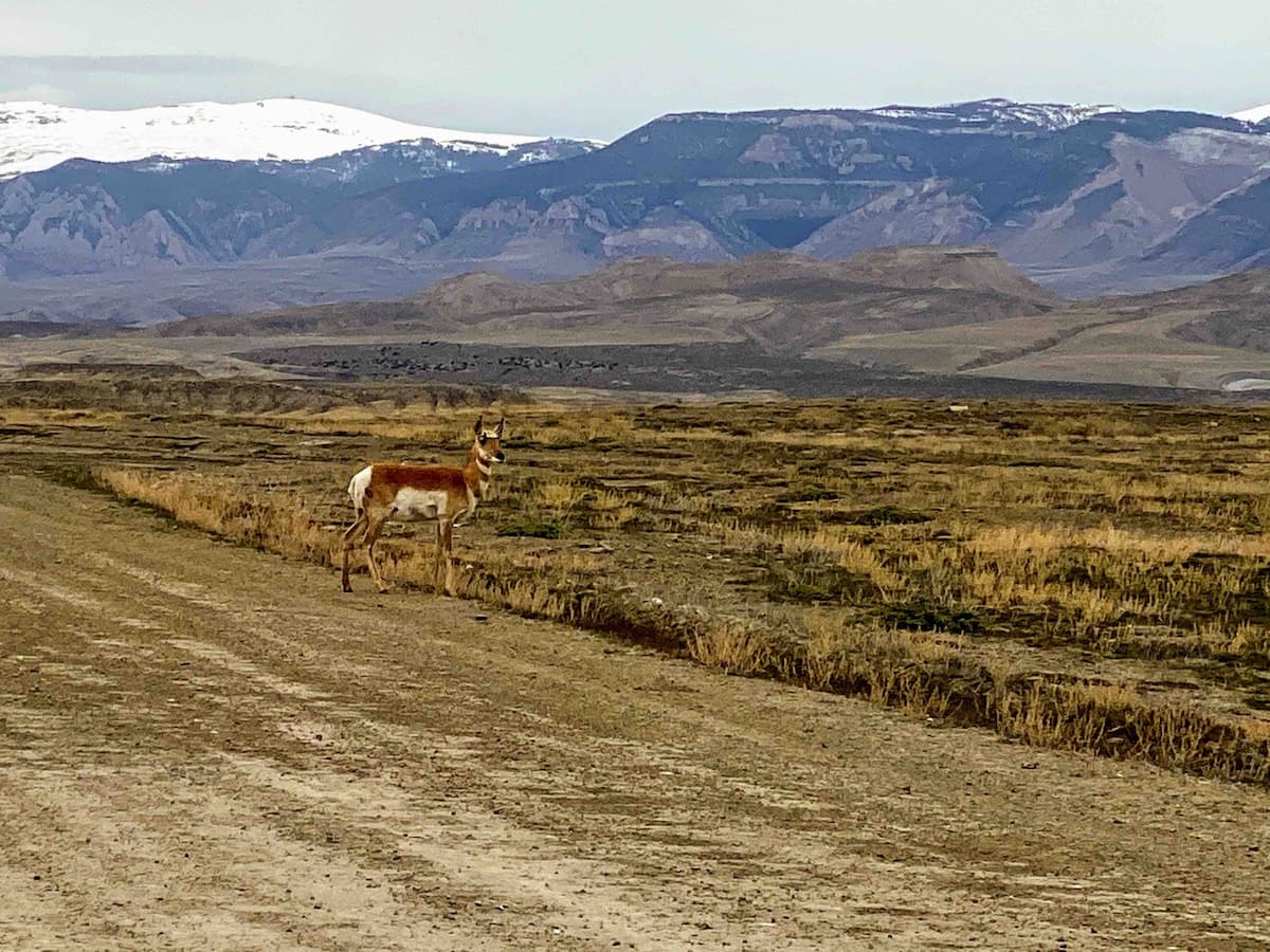 Shell, Wyoming