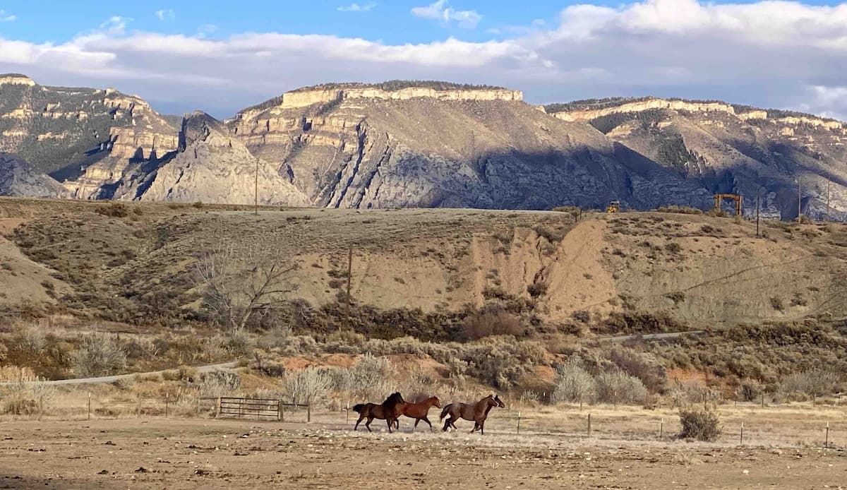 Shell, Wyoming