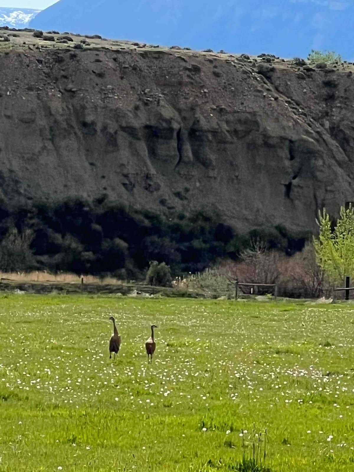 Shell, Wyoming